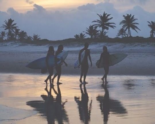 imagen del grupo SURF y nada más