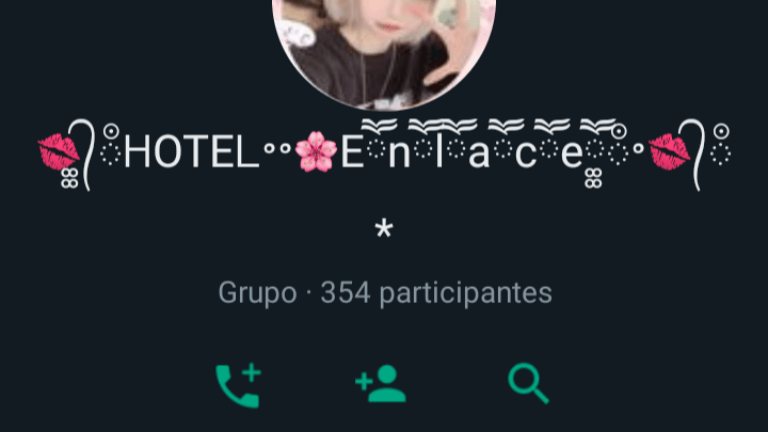 imagen del grupo Hotel enlaces