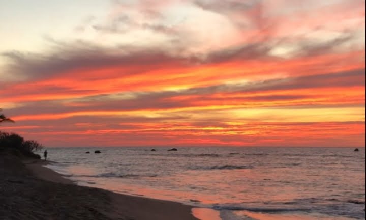imagen del grupo Atardeceres🌄para todos