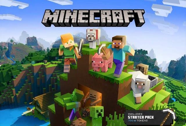 imagen del grupo MINECRAFT