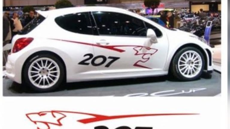 imagen del grupo Peugeot 207 🇫🇷Grupo PSA