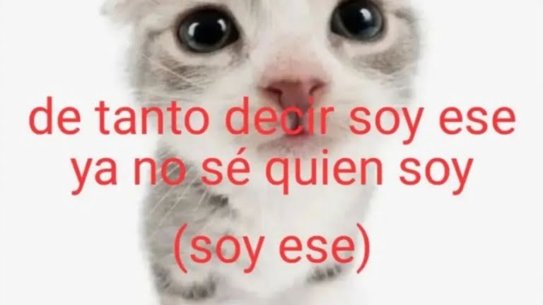 imagen del grupo Socializar y hacer amigos :D