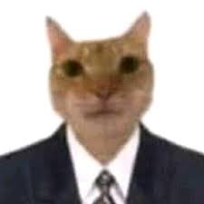 imagen del grupo Gente random