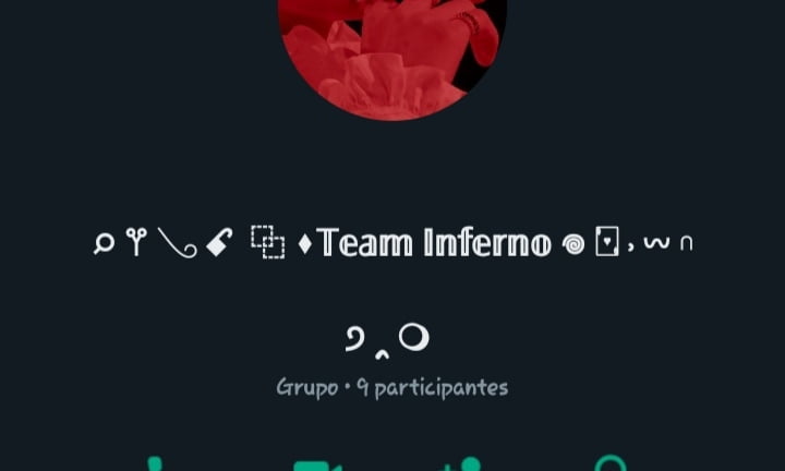 TeamIferno 3 imagen del grupo TeamIferno