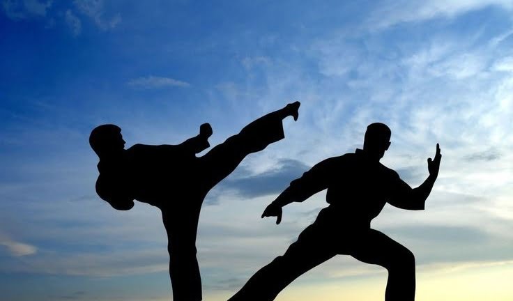 Artes marciales y Deportes de combate 10 imagen del grupo Artes marciales y Deportes de combate