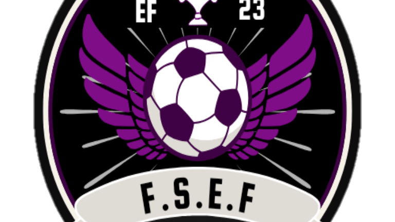 imagen del grupo FSEF FEDERACIÓN SURAMERICANA DE E FOOTBALL