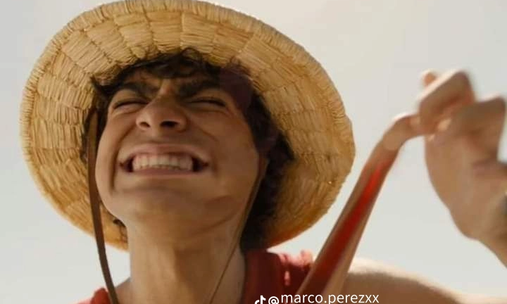 imagen del grupo One piece live action