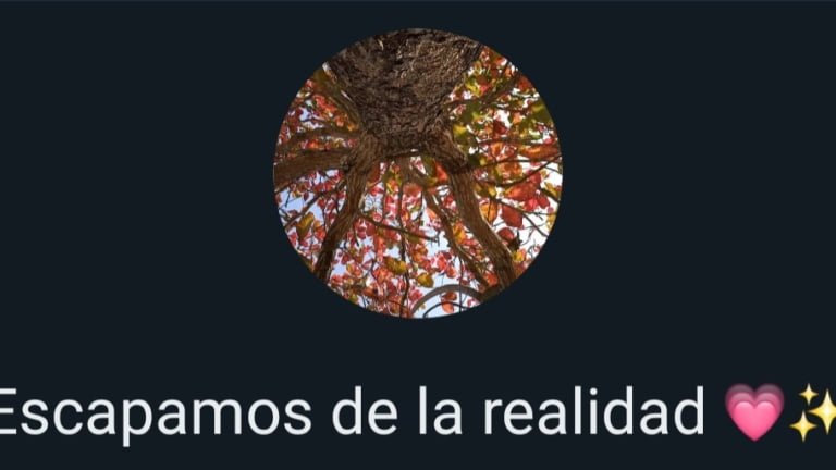 Escapamos de la realidad 6 imagen del grupo Escapamos de la realidad